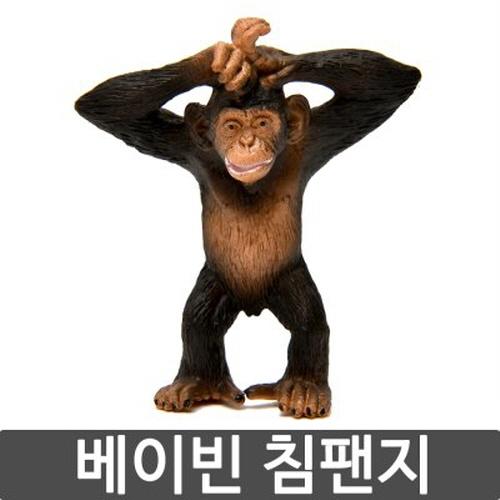 섬네일이미지