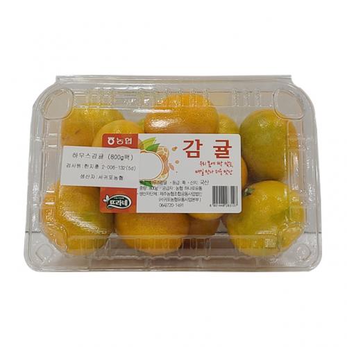 섬네일이미지