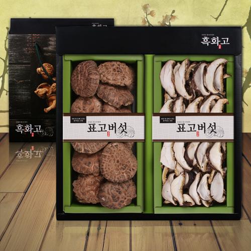 섬네일이미지