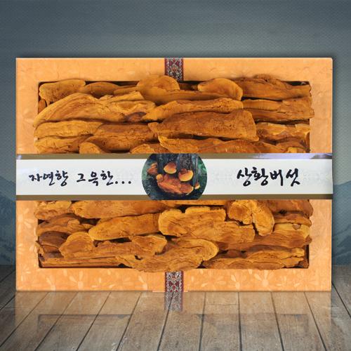 섬네일이미지