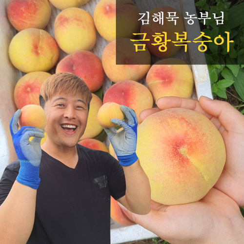 섬네일이미지