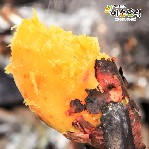 섬네일이미지