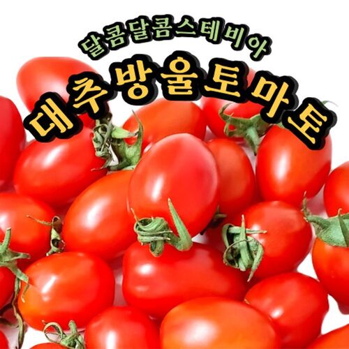 섬네일이미지