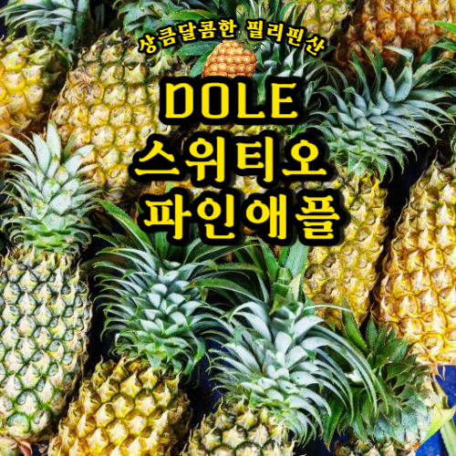 섬네일이미지