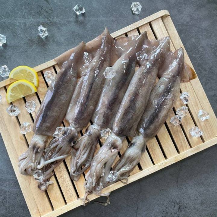 섬네일이미지