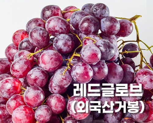 섬네일이미지