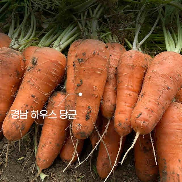 섬네일이미지