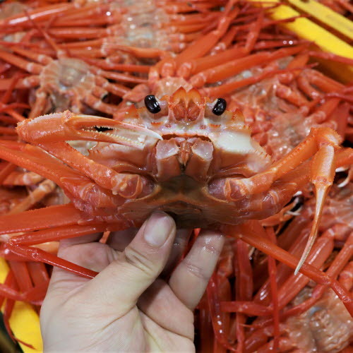 섬네일이미지
