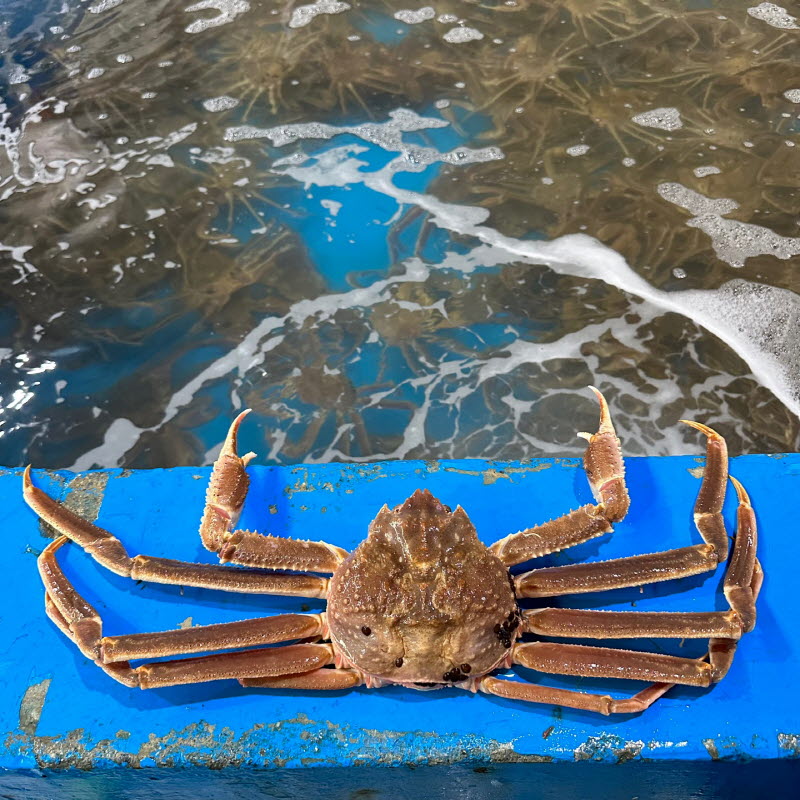 섬네일이미지.