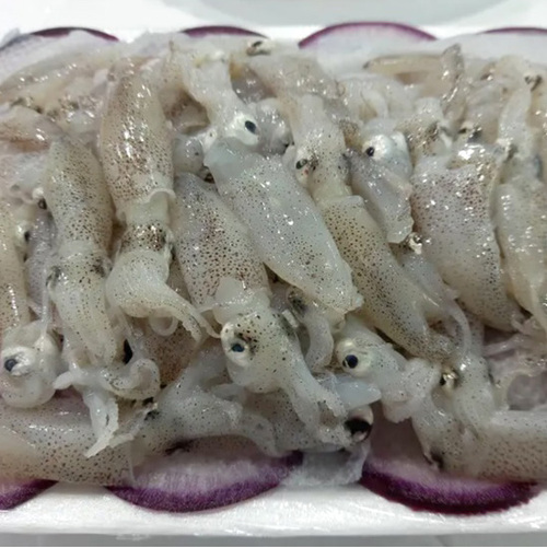 섬네일이미지
