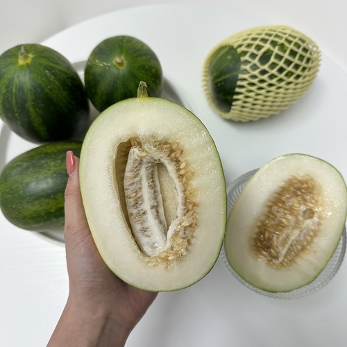 섬네일이미지
