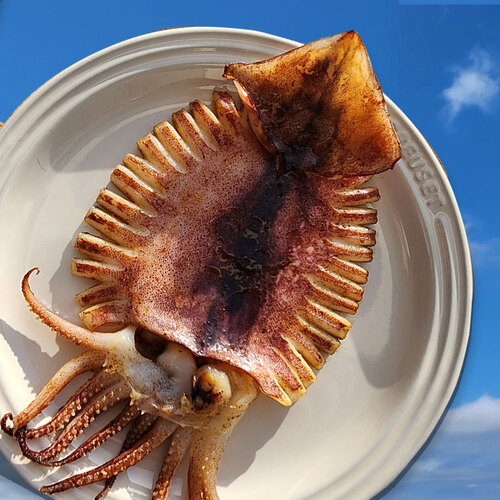 섬네일이미지