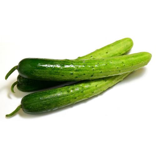 섬네일이미지