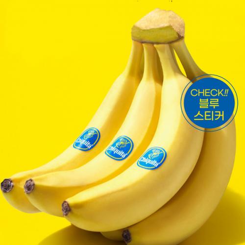 섬네일이미지